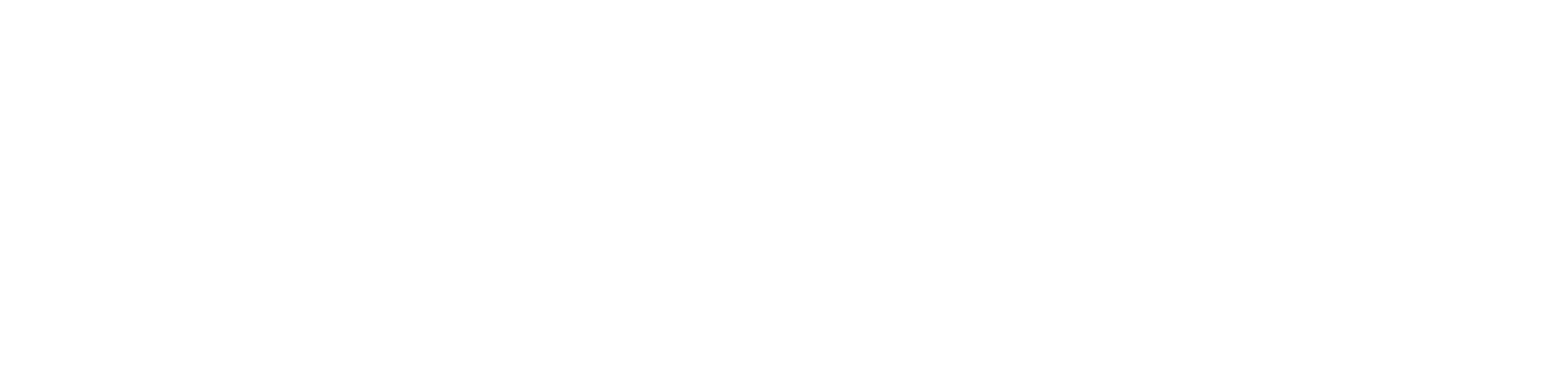footer-logo